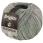 Brigitte Silkdream 15 Grau