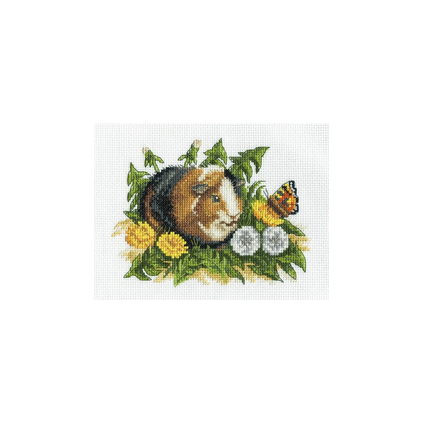 Borduurpakket Cavia