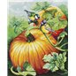 Embroidery kit Birdies On Pumpkin Embroidery kit Birdies On Pumpkin