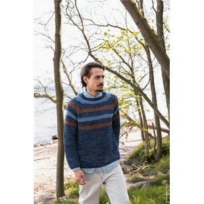 Pullover CL29M46