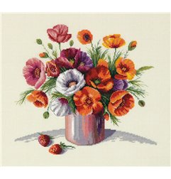Embroidery kit Morning poppies