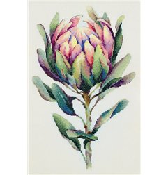 Borduurpakket Protea