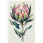 Borduurpakket Protea Borduurpakket Protea