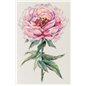 Kit e broderie Pivoine