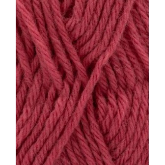 Phil Partner 3,5 Rose de Sables