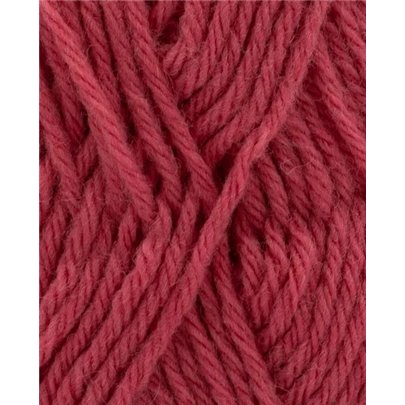 Phil Partner 3,5 Rose de Sables