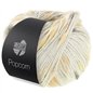 Popcorn 10 Gris argenté