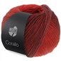 Corallo 05 Rouge