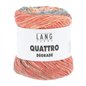 Quattro Dégradé 013