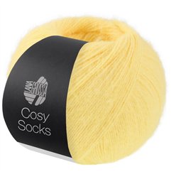 Cosy Socks 19