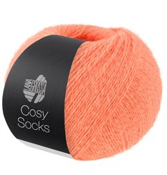 Cosy Socks 21