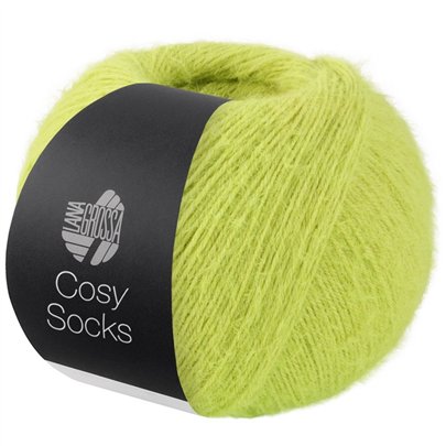 Cosy Socks 24