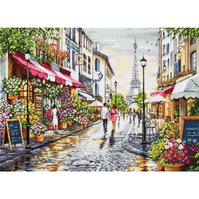 Borduurpakket Bloemenwinkel in Parijs