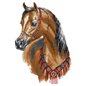 Borduurpakket Arabisch paard Borduurpakket Arabisch paard