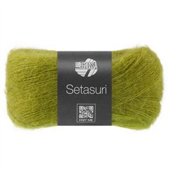 Setasuri 81 Helloliv