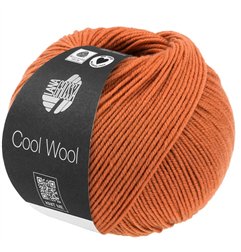 Cool Wool Orangebraun 2116