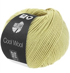 Cool Wool Vert pastel 2122