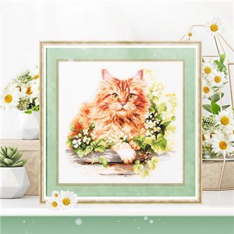 Borduurpakket De rode kat