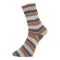 Pro Lana Golden Socks Belchen 3025