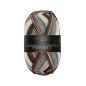 Pro Lana Golden Socks Tannheim 5 190.04