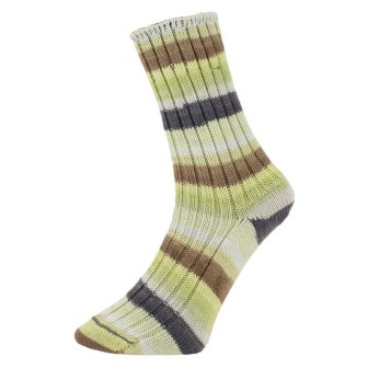  Prolana Pro Lana Golden Socks Tannheim 5 190.06