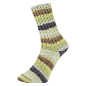 Sokkenwol Pro Lana Golden Socks Tannheim 5 190.06