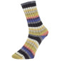 Pro Lana Golden Socks Tannheim 5 190.07