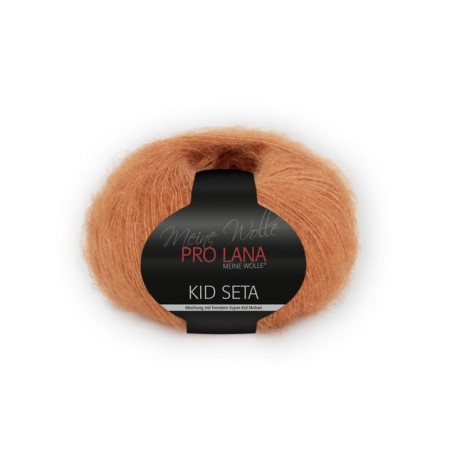  Prolana Pro Lana Kid Seta 25