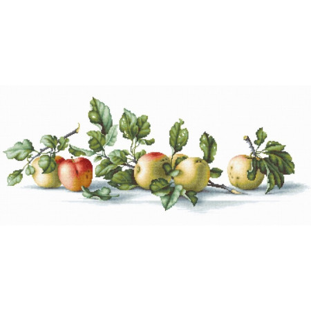 Kit de broderie Pommes