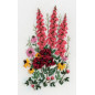 Embroidery kit Garden "poetry"