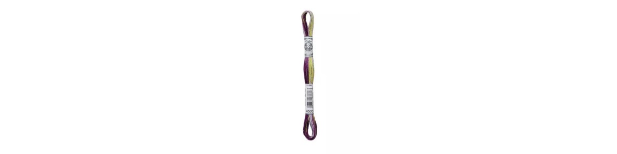 Borduurgaren DMC Mouliné Coloris