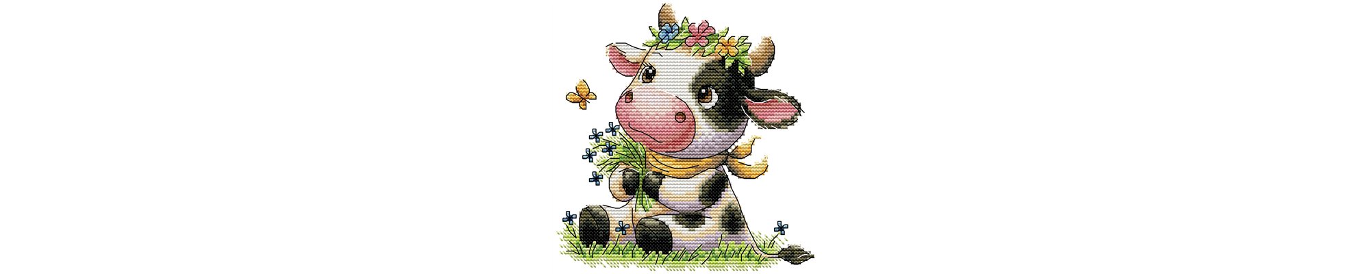 Borduurpakket voor beginners